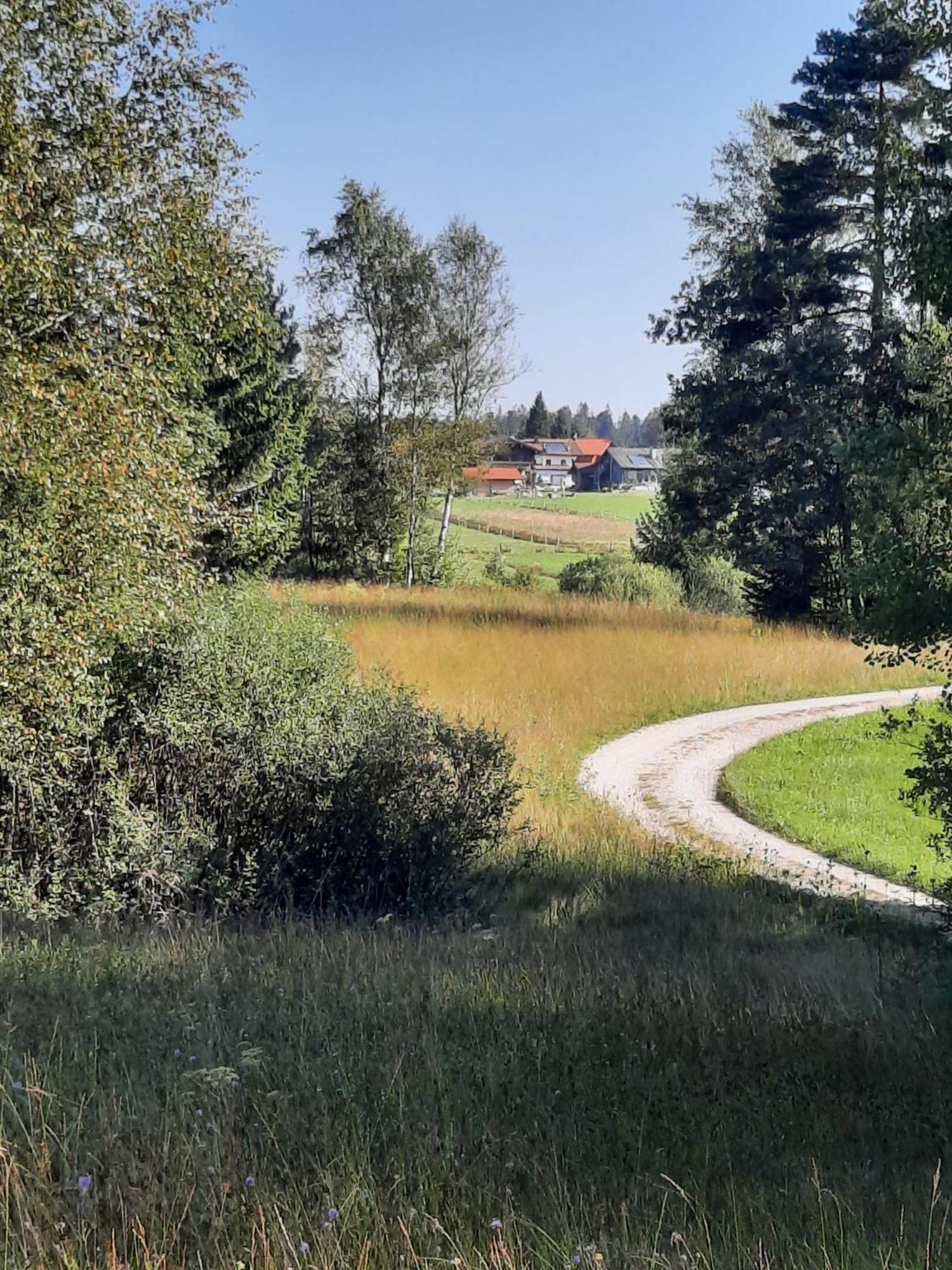 Ferienwohnung Am Wirtshof Зигсдорф Экстерьер фото